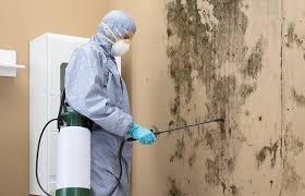 Best Biohazard Mold Removal  in Geneseo, IL